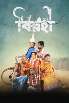 Birohi poster