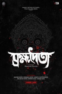 Brahmadaitya poster