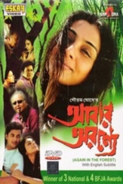 In the Forest… Again poster