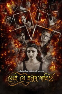 Shei Je Holud Pakhi poster