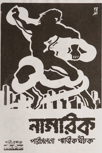 The Citizen poster